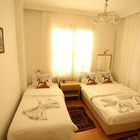 Dos Hermanos Hotell Istanbul